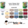 Lasure Solid Color Stain - Vert olive - 1L