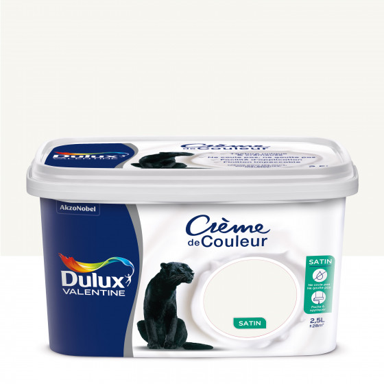 Peinture Crème De Couleur Blanc