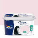 Peinture Crème De Couleur Bouton De Rose