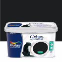 Peinture Crème De Couleur Noir