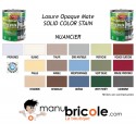 Peinture Solid Color Stain - Blanc - 20L