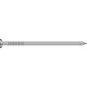 Pointe cannelée tête plate en inox A4 FIRKS Bte de 250