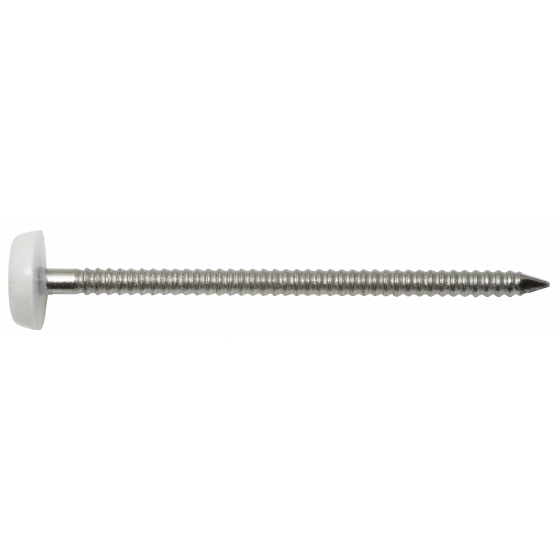 Pointe Inox A4 T. Plastique Blanc