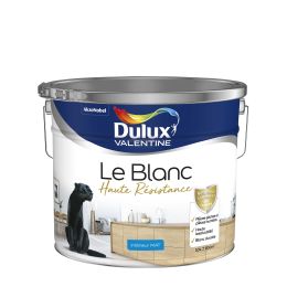 Peinture le blanc haute résistance blanc