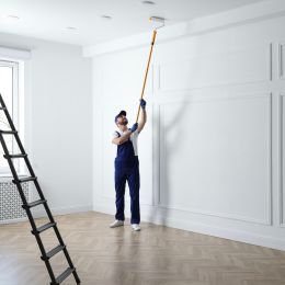 Peinture murs et plafonds 1L Blanc velours